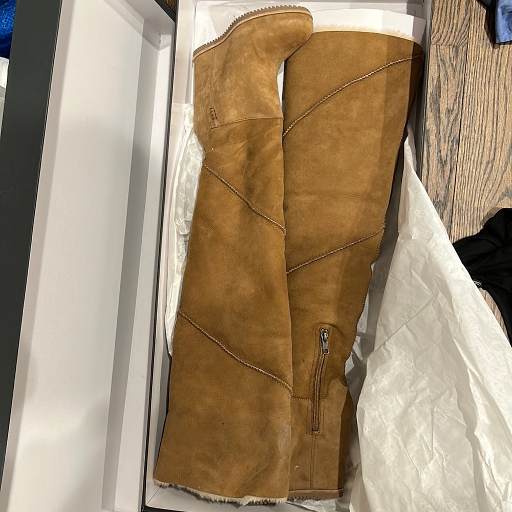Brand new Uggs with wedge. Never worn in box